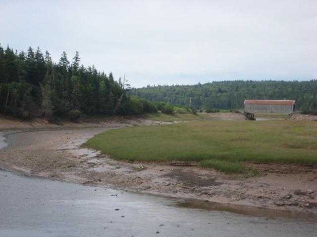 Moore'S Specialties Fundy Bay House Rental Gardner Creek Exterior photo